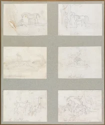 Les âges du cheval - Le poulain, le jeune cheval, le coureur, le chasseur, le cheval de poste, nourriture pour les chiens